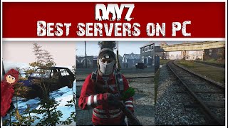 The BEST PC Servers You Need to Play on DayZ [upl. by Yffat191]