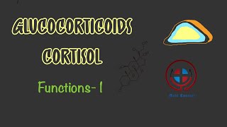 Glucocorticoid Cortisol Functions Effects on body Part1 Physiology Pharmacology MBBS NEET [upl. by Dwaine]