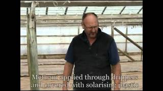 Basic tips on greenhouse fumigation for soil diseases [upl. by Peirce]