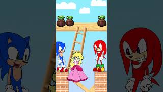 Would you help Sonic did everything to save Pr Peach animation parody sonictoon [upl. by Eerized213]