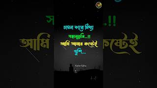 Bangla short caption status  bangla caption status video sadsonglyrics backgroundmusic foru [upl. by Lajib]