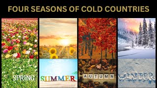 Four Seasons Of Cold Countries Natures Spectacular Transformation Throughout the Year [upl. by Derian]