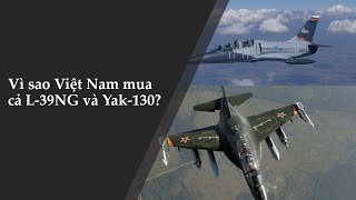 Tại sao Việt Nam mua cả L39NG và Yak130 [upl. by Rramaj]