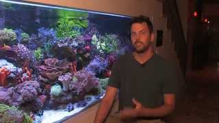 Vivid 400 Gallon Mixed Reef Aquarium 2012 [upl. by Lebazi506]