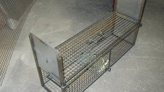 fabrication dun piège cage [upl. by Arni]