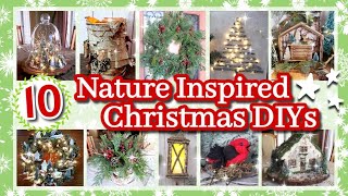 10 Favorite Nature Inspired Christmas DIY Decor  Rustic Christmas Decorations amp Ideas [upl. by Notsirk]