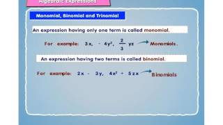 Monomial Binomial and Trinomial [upl. by Eltsyrhc]