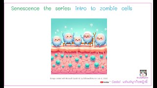 Senescence the series introduction to zombie cells [upl. by Ynnal]