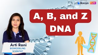 A B and Z DNA Understanding Structural Variations in DNA  Quick Revision csirnetlifescience [upl. by Mharba]