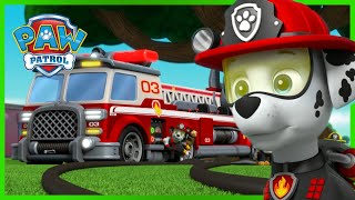 PAW Patrol Live At Home Special Sing Along  PAW Patrol Official amp Friends [upl. by Rawley]