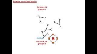 Mécanisme de lhémagglutination [upl. by Uela649]