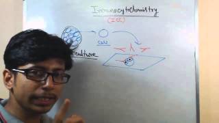 Immunocytochemistry lecture principle and procedure [upl. by Notrom85]