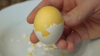 How to Scramble Eggs Inside Their Shell [upl. by Yessej]