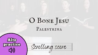 O Bone Jesu  Palestrina  Alto practice [upl. by Yggep]