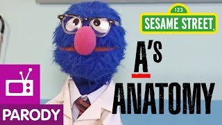 Sesame Street As Anatomy [upl. by Gnohp452]