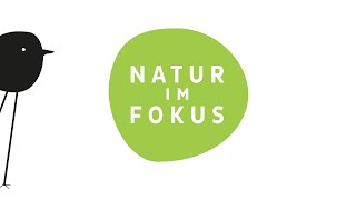 Natur im Fokus Gewinnerfilm des Wettbewerbs 2023 [upl. by Oirromed]