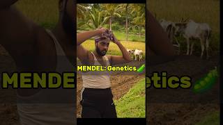 Mendel The legend💪 KhushiMishra11 shorts neetexam shivamrajaiims biology funny [upl. by Sheedy]