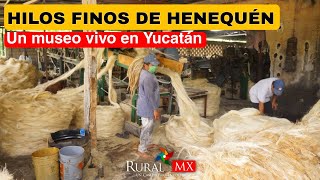 ¡El henequén sigue vivo Visitamos Hilos Finos Yucatecos [upl. by Forbes]