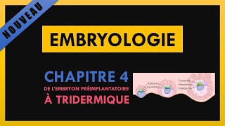 Embryologie  Chapitre 4  De l’embryon préimplantatoire à tridermique [upl. by Haldas]