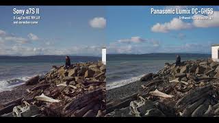 Panasonic Lumix DCGH5S vs Sony a7S II Log footage comparison [upl. by Jonis]