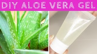 How to Make Aloe Vera Gel at Home from Scratch  DIY Aloe Vera Gel [upl. by Eanej]