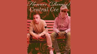 ArrDee  Flowers Remix feat Central Cee Audio [upl. by Haimorej]