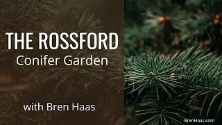 The Rossford Ohio Conifer Garden [upl. by Grados]