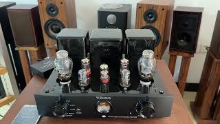 Willsenton R300 PLUS tube amplifierPAIYON P420 speaker [upl. by Annas177]