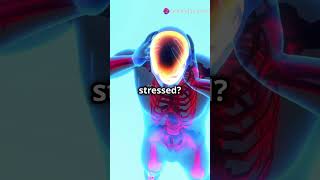 Neurotransmitters effect mood nervoussystem knowyourbody fitnessmotivation facts bodysystem [upl. by Boniface416]