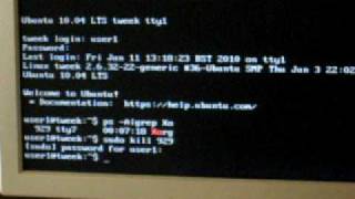 Ubuntu 1004 Screen Problem [upl. by Ellenar630]