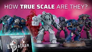 Ultimate Leviathan TERMINATORS scale comparison with 20 models new40k [upl. by Moffit18]