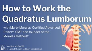 How to Work the Quadratus Lumborum [upl. by Jory296]