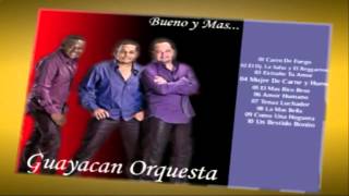 Guayacan Orquesta Como una hoguera nueva version salsabor Alex Merello Musik [upl. by Novaj]