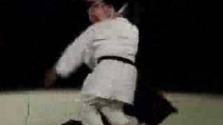 Excellent Aikido Demonstration [upl. by Iatnwahs]