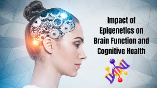 The Impact of Epigenetics on Brain Function and Cognitive Health [upl. by Geminius]