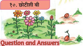 6th Marathi Sugambharti lesson 10 Chotishi bee Question and Answer छोटीशी बी [upl. by Narut]