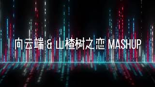 向云端 amp 山楂树之恋 MASHUP [upl. by Jar]