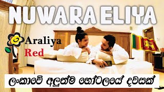 Relax  Aaraliya Red Hotel Nuwara Eliya  Sri Lanka  Travel to travel Sri lanka VLOG 7 [upl. by Nosreg]