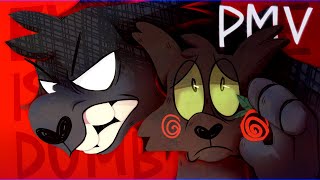 Everyone is dumb  WARRIOR CATS HOLLYLEAF PMV [upl. by Dranyam337]