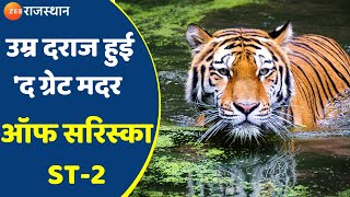 Sariska ST2 I मदर ऑफ सरिस्का की देखभाल में जुटा प्रशासन I Zee Rajasthan News [upl. by Notsehc]