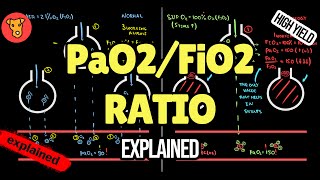 paO2FiO2 ratio in Respiratory Failure Explained [upl. by Evelyn]