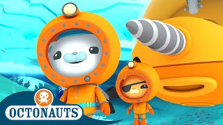 Octonauts  🐻‍❄️ The Great Arctic Adventure ❄️  Series 3  Winter Special  Cartoons for Kids [upl. by Burnsed]