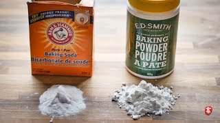 小苏打和泡打粉的区别 Baking Soda vs Baking Powder [upl. by Pronty]