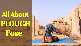 Plow Pose Halasana Yoga for Beginners  Triyogam Series [upl. by Emia652]