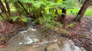 Araluen Botanic Park  Perths Most Stunning and Captivating Destination  Perth Australia [upl. by Bores]