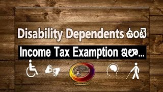 income Income Tax Deduction for Disabled Dependents80DD [upl. by Eedahs]