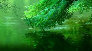 Beautiful Anime  Nature AMV [upl. by Veleda139]