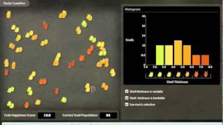 Darwinian Snails Lab Demo [upl. by Vinni]