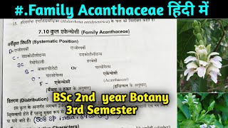 Family Acanthaceae in hindi  BSc 2nd year Botany 3rd Semester [upl. by Renruojos]