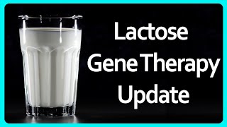 Lactose Intolerance Treatments 6 Tips to Get Your Dairy Back [upl. by Valleau]